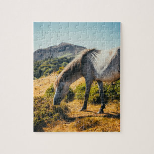 Puzzle Cheval blanc et gris pâturage avec soleil brillant