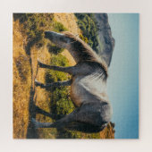 Puzzle Cheval blanc et gris pâturage avec soleil brillant (Horizontal)