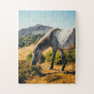 Puzzle Cheval blanc et gris pâturant au soleil