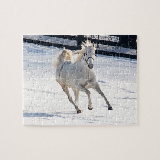 Puzzle Cheval blanc fonctionnant dans la neige (Horizontal)