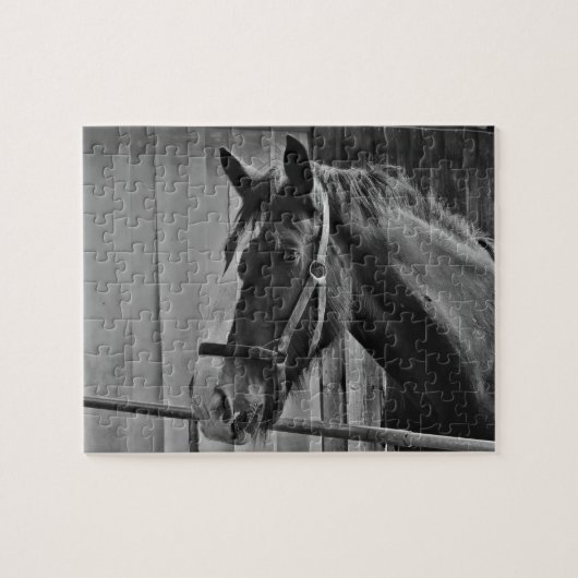 Puzzle Cheval blanc noir - Art de la photographie animale (Horizontal)
