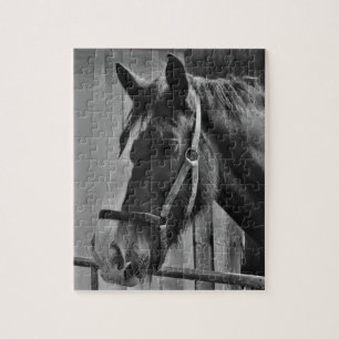 Puzzle Cheval blanc noir - Art de la photographie animale