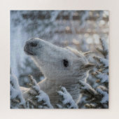 Puzzle Cheval blanc sous pin enneigé (Horizontal)