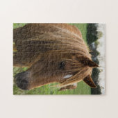 Puzzle Cheval Bonjour (Horizontal)