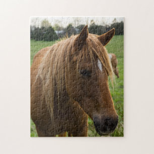 Puzzle Cheval Bonjour