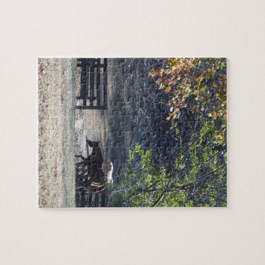 Puzzle Cheval Brown à pied à travers la clôture (Horizontal)