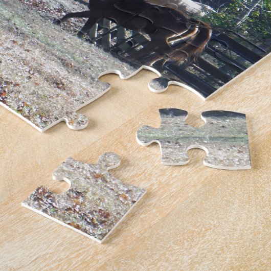 Puzzle Cheval Brown à pied à travers la clôture (Côté)