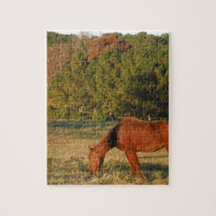 Puzzle Cheval Brown aux pins
