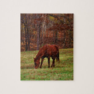 Puzzle Cheval Brown avec nez blanc au bord des bois
