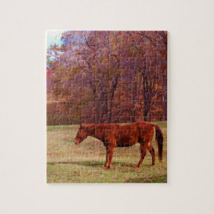 Puzzle Cheval Brown dans un champ d'herbe