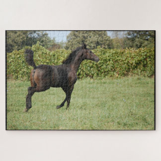 Puzzle Cheval Courir sur le terrain