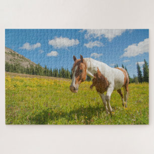 Puzzle Cheval curieux dans une prairie alpine en été
