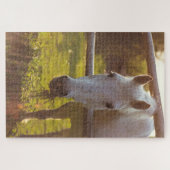Puzzle Cheval dans le pâturage (Horizontal)
