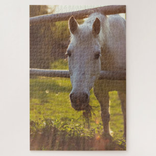 Puzzle Cheval dans le pâturage
