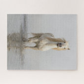Puzzle Cheval de Camargue courant dans l'eau (Horizontal)