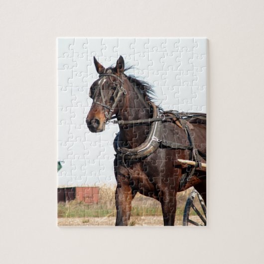 Puzzle Cheval de l'Amish rural et buggy (Vertical)