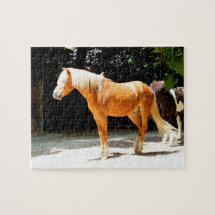 Puzzle Cheval de palomino