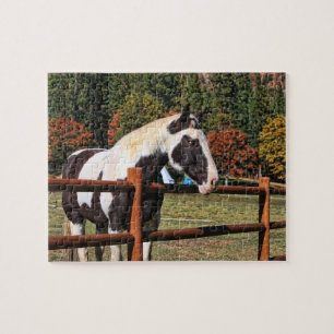PUZZLE CHEVAL DE PAYS