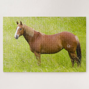 Puzzle Cheval en champ de printemps