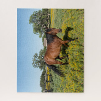 Puzzle Cheval en Medow