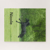 Puzzle Cheval en Paddock et amoureux de cheval de ferme, (Horizontal)