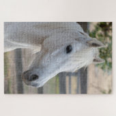 Puzzle Cheval équestre (Horizontal)