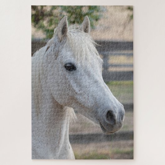 Puzzle Cheval équestre (Vertical)