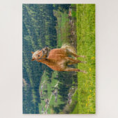 Puzzle Cheval équestre (Vertical)