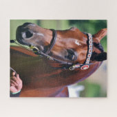 Puzzle Cheval équestre race arabe (Horizontal)