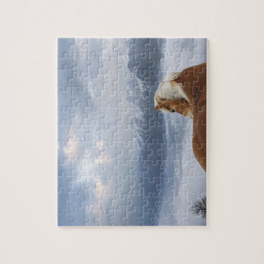 Puzzle Cheval Game (Vertical)