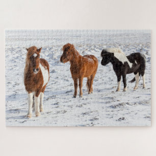 Puzzle Cheval islandais avec manteau d'hiver typique