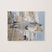 Puzzle Cheval islandais blanc, Islande (Horizontal)