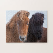 Puzzle Cheval islandais en hiver en Islande (Horizontal)