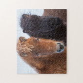 Puzzle Cheval islandais en hiver en Islande (Vertical)