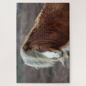 Puzzle Cheval islandais sauvage dans un champ (Vertical)