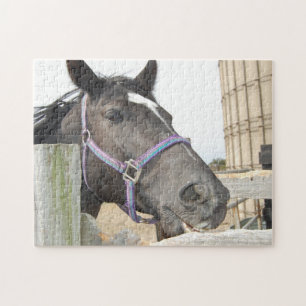 Puzzle Cheval mâcher une clôture