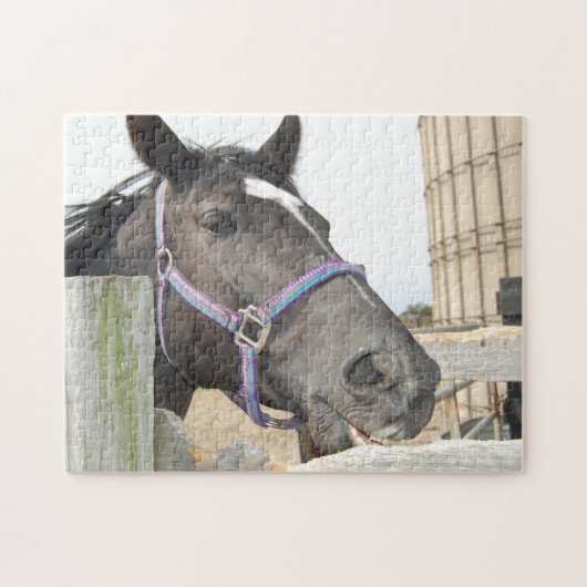 Puzzle Cheval mâcher une clôture (Horizontal)