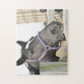 Puzzle Cheval mâcher une clôture (Vertical)