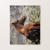 Puzzle Cheval majestueux à la ferme Georgia, USA (Vertical)