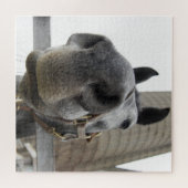 Puzzle Cheval mignon (Horizontal)