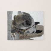Puzzle Cheval mignon (Horizontal)