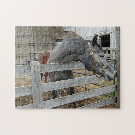 Puzzle Cheval mignon devant une grange (Horizontal)