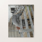 Puzzle Cheval mignon devant une grange (Vertical)