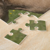 Puzzle Cheval norvégien de fjord (Côté)