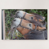 Puzzle Cheval Paire équestre de Clydesdales (Horizontal)