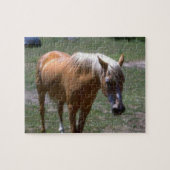 Puzzle Cheval Palomino (Horizontal)