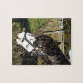 Puzzle Cheval Peint, Manger Reine Ann Fleur dentelle (Horizontal)