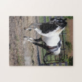 Puzzle Cheval Pinto Paint (Horizontal)