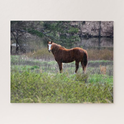 Puzzle Cheval regardant en arrière (Horizontal)