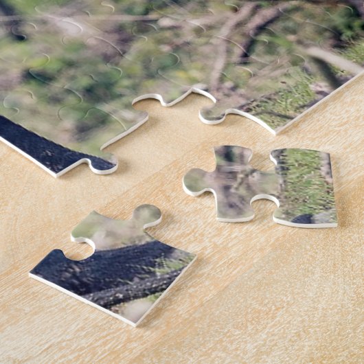 Puzzle Cheval sauvage (Côté)